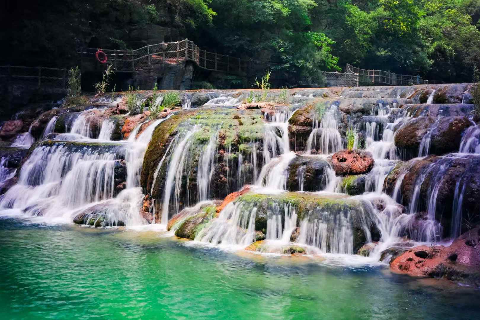 松夏医电-3.jpg